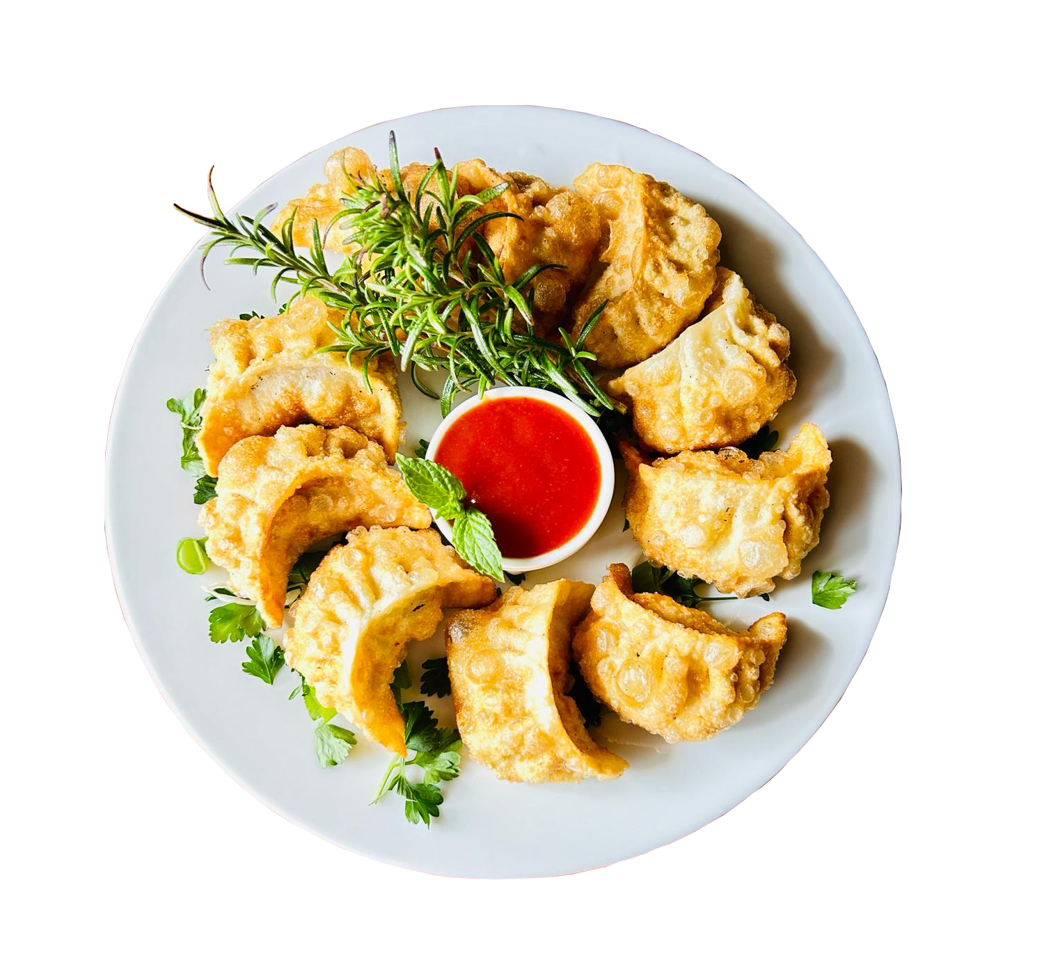 Gebratene Momos (Vegi, Poulet oder Rind 10 Stück) mit Salat