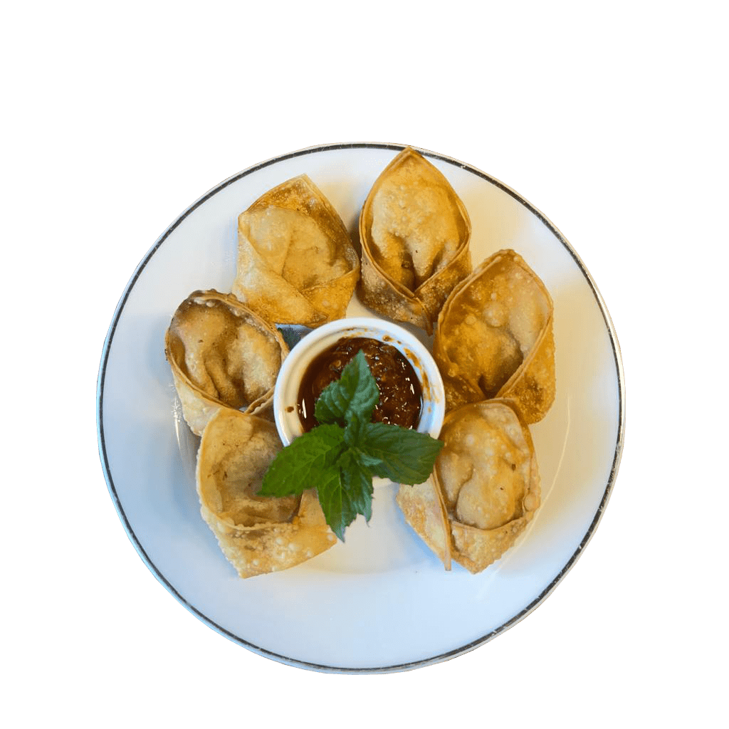 Gebratener Poulet-Wantan (6 Stück)